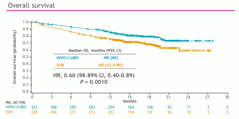 ESMO2020_Checkmate9ER_6.png