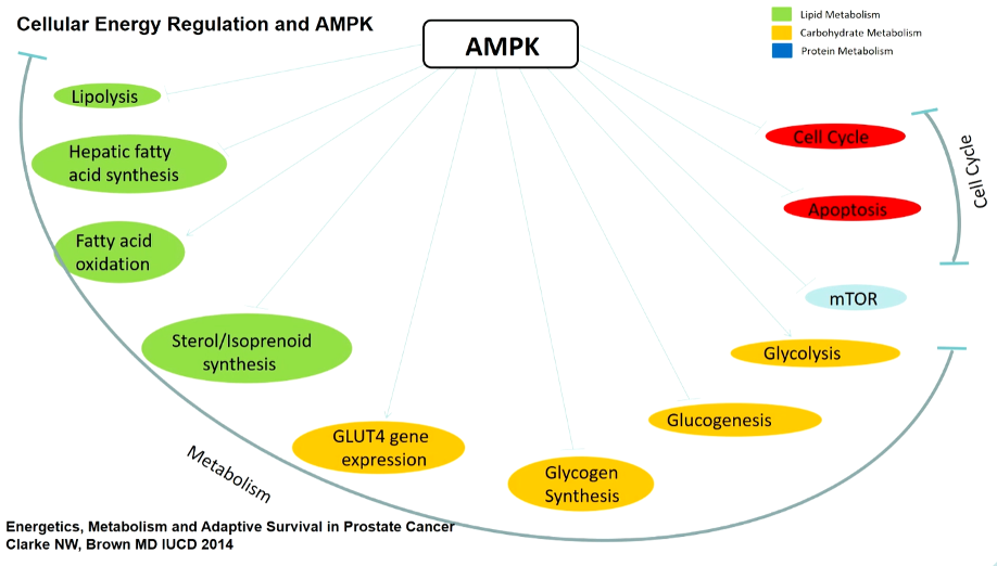 ESMO2020_Clarke617618_InvitedDiscussant_1.png