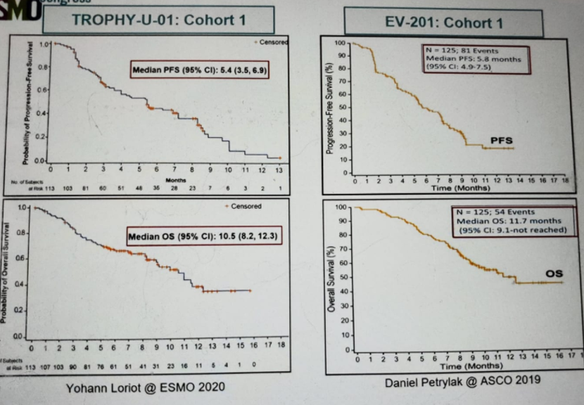 ESMO2020_Gschwend_5.png
