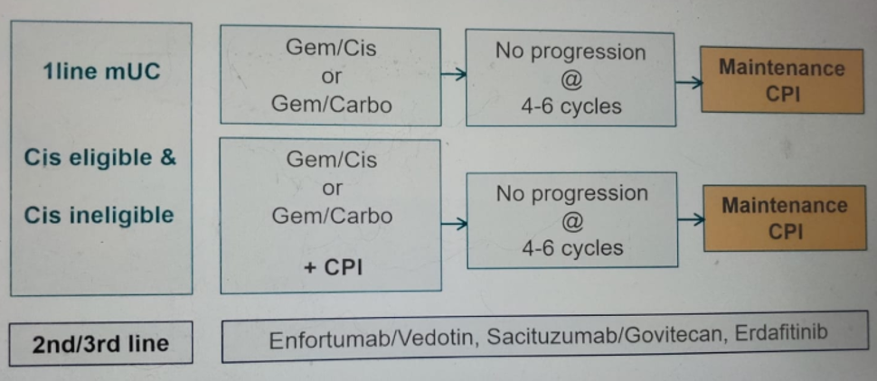 ESMO2020_Gschwend_6.png