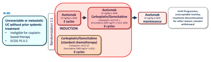 ESMO2020_Gust_IOinUC_4.png