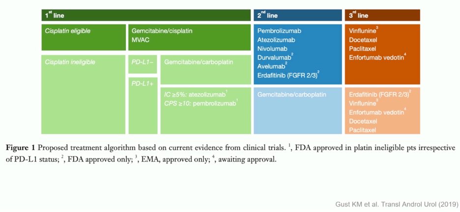 ESMO2020_Killan_M._Gust_3.png