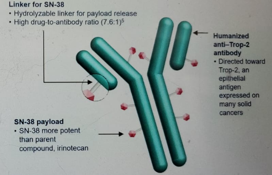 ESMO2020_Loriot_1.png