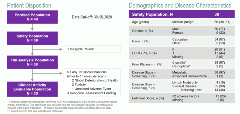 ESMO2020_Pavlos_Msaouel_3.png