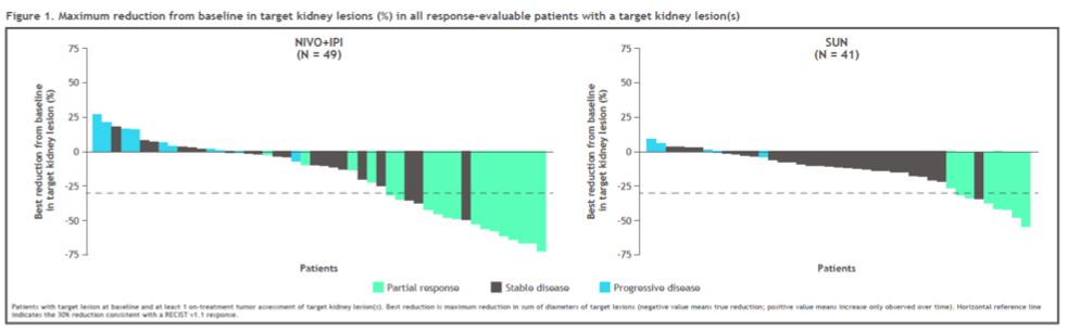 ESMO20_nivolumab.ipilumumab.png