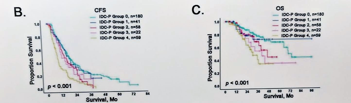 ESMO 2018 IDC survival double graph