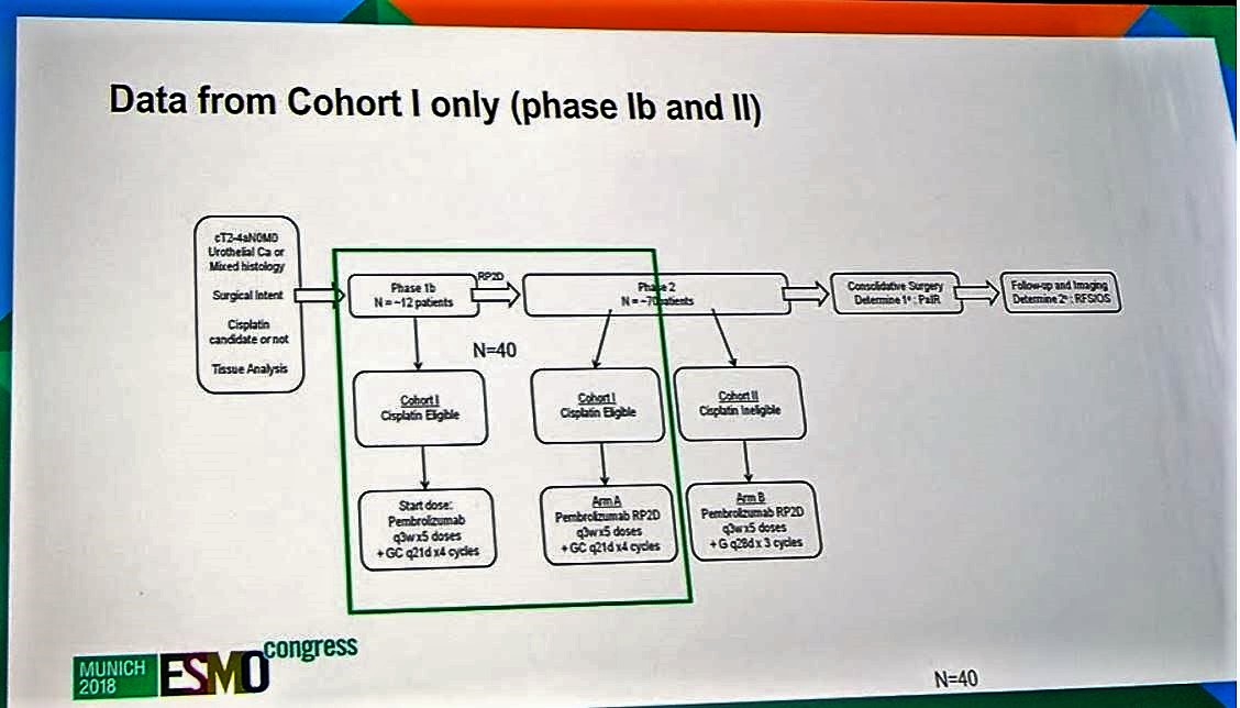 ESMO 2018 data from cohort I
