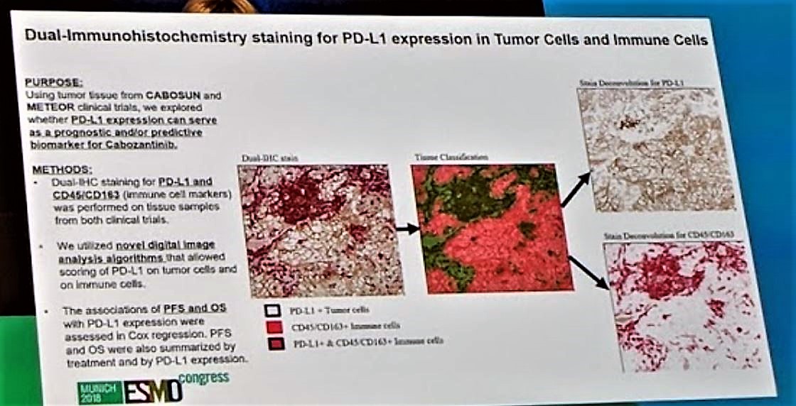 ESMO 2018 staining for PD L1