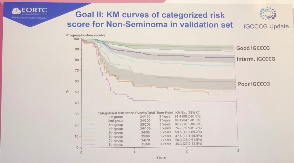 ESMO_2019_International_Germ_Cell_Cancer_Collaborative_Group.png