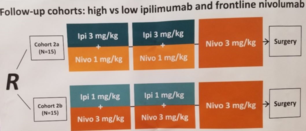 ESMO 2019 high vs low IPI and NIVO