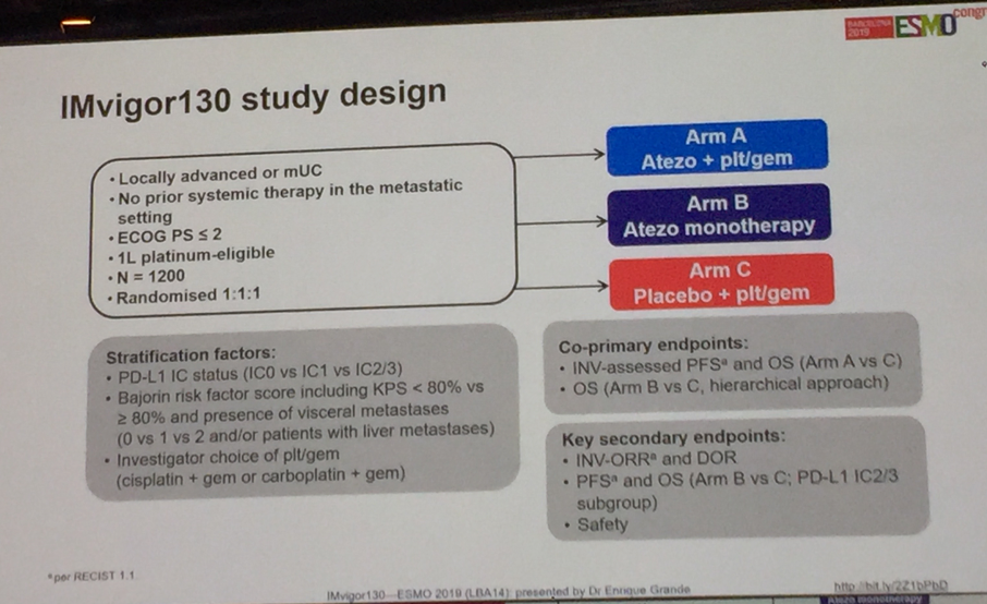 ESMO Imvigor 1