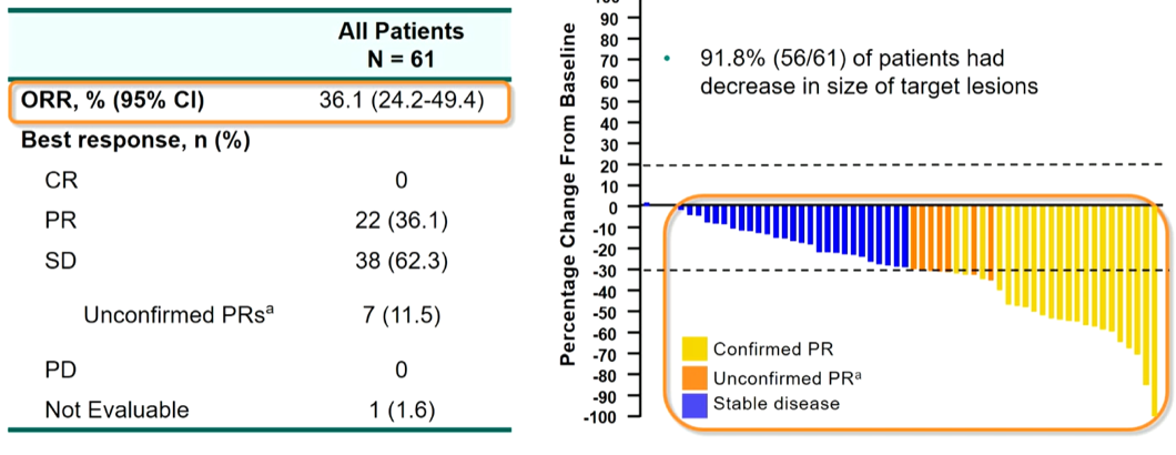 ESMO_RCC_lesions.png