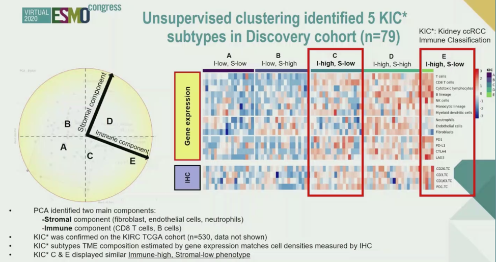 ESMO_discovery_cohort.png