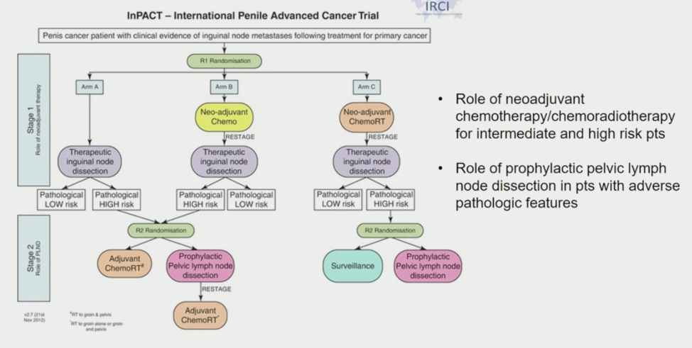 ESMO_penile_carcinoma.png