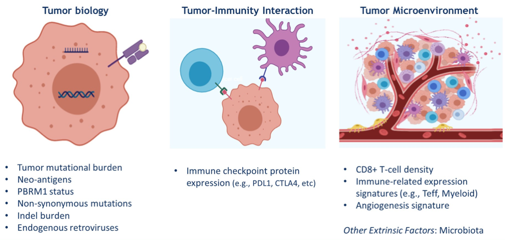 FIgure1_ImmunotherapyBiomarkerContext_ASCO2020.png