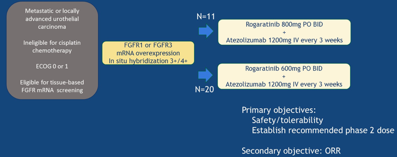 FORT-2_TrialSchema_ASCO2020.png