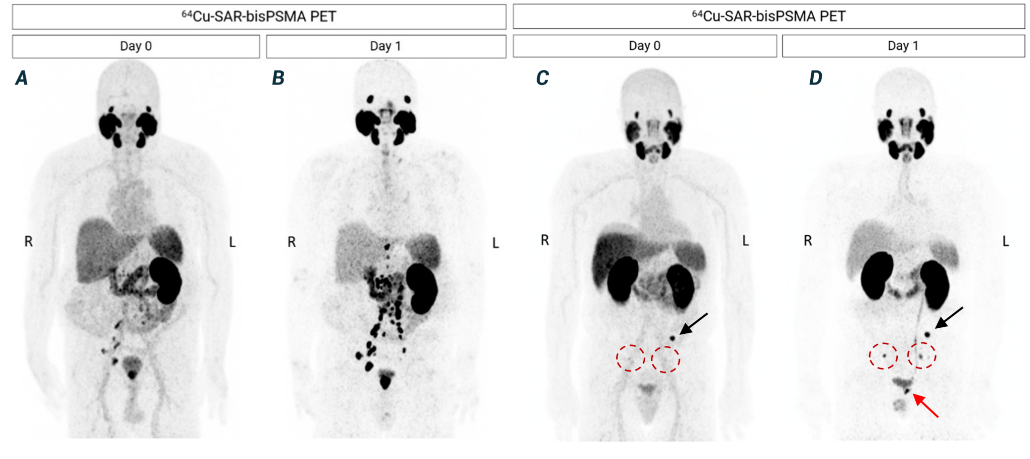 Fig-4-2048x913.png
