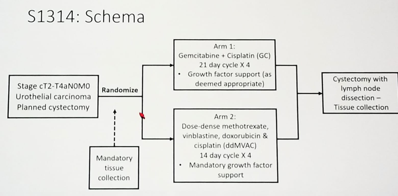 Figure1_S1314_study_design.png