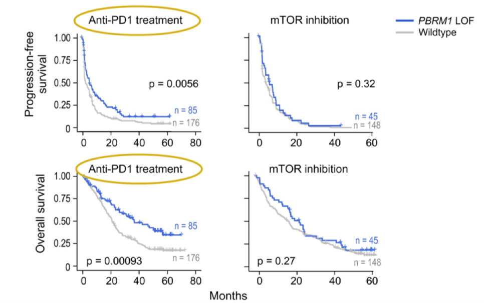 Figure2_PBRM1mutation_ASCO2020.png