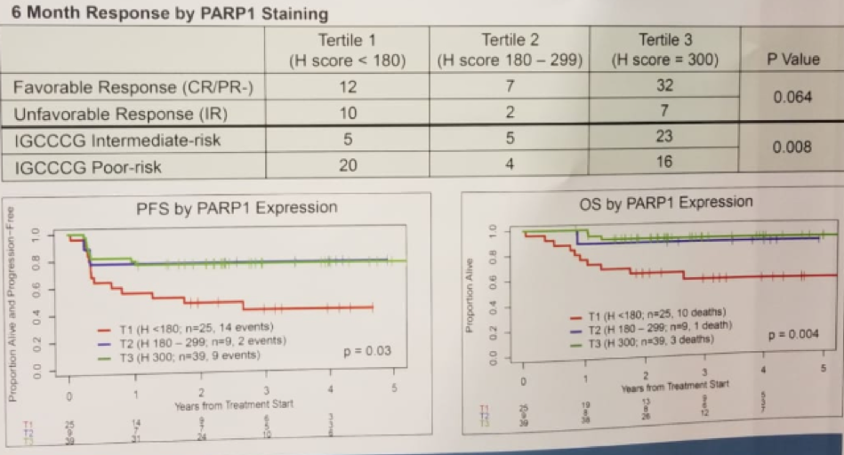 Figure3_SixmonthsResponse_PARP1Staining_PFS_OS_PARP1_expression.png