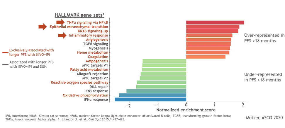Figure4_KeyMechanisms_ASCO2020.png