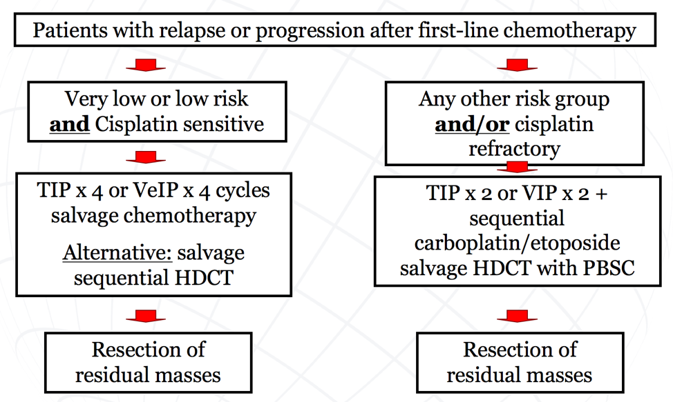 GSRGT_2020_Nappi_Keynote_Testis_3.png