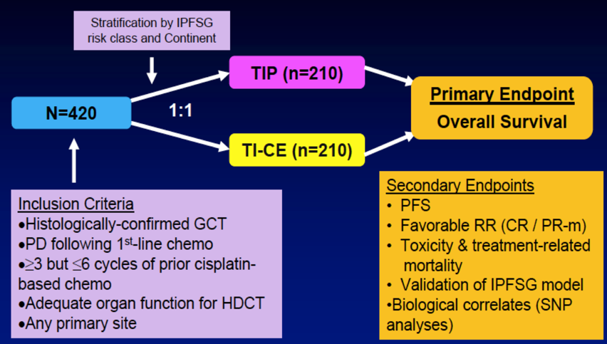 GSRGT_2020_Necchi_Keynote_Testis_3.png