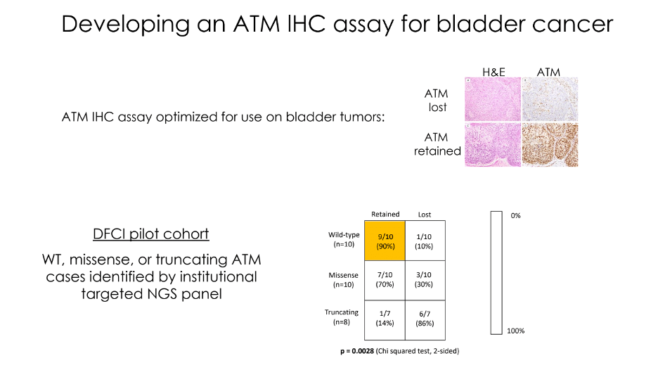 IBCN_ATM_IHC.png