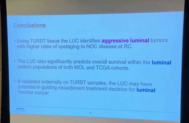 IBCN Conclusions