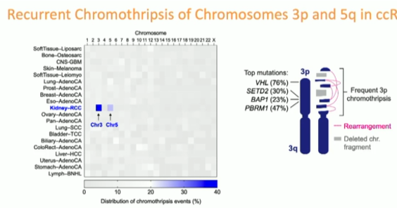 IKCS22_Ly_chromothripsis_on_RCC__2.png