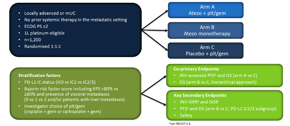IMvigor130 trial efficacy points