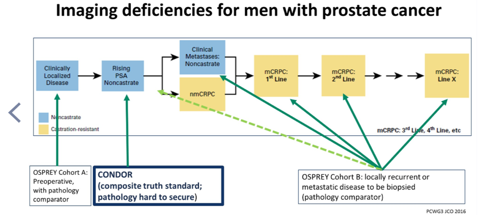 ImagingDeficiencies_Figure1_ASCO2020.png