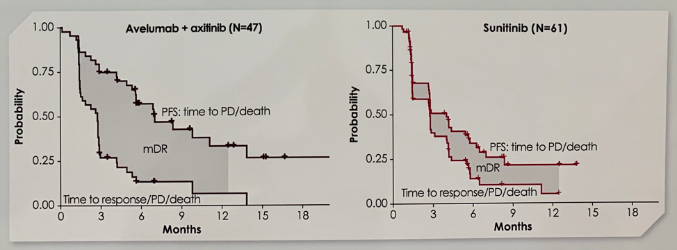 JAVELIN biomarker analyses