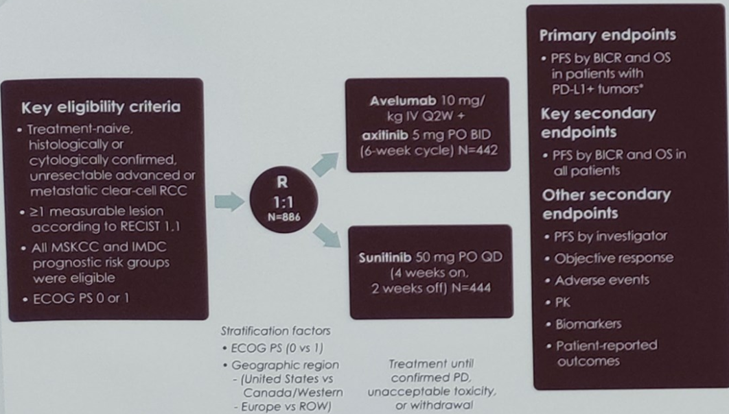 JAVELIN renal 101 trial design