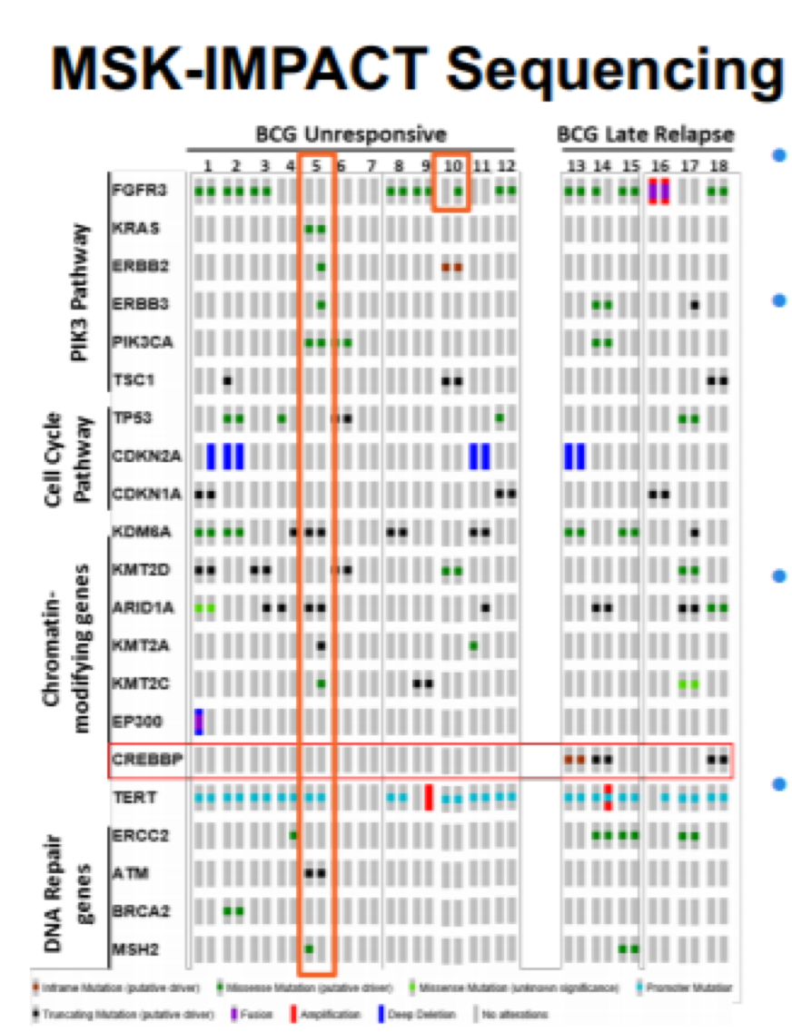 MSKImpact_Sequencing_AUA2020.png