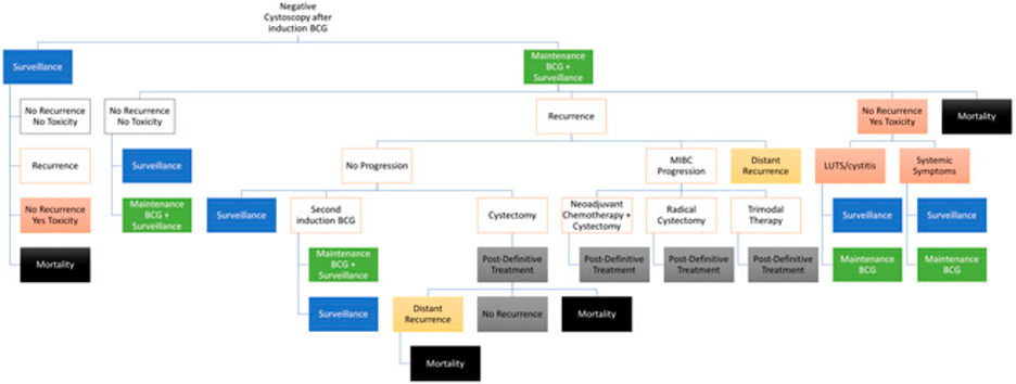 Markov_Model_BCG.png