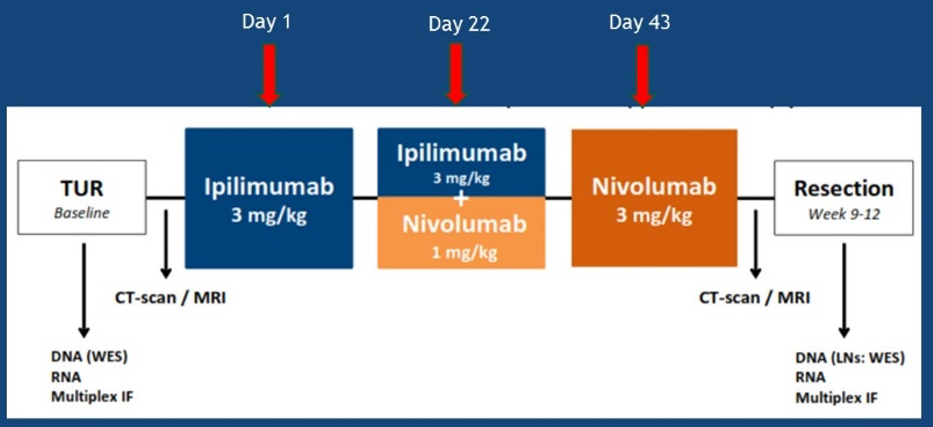 NABUCCO clinical trial