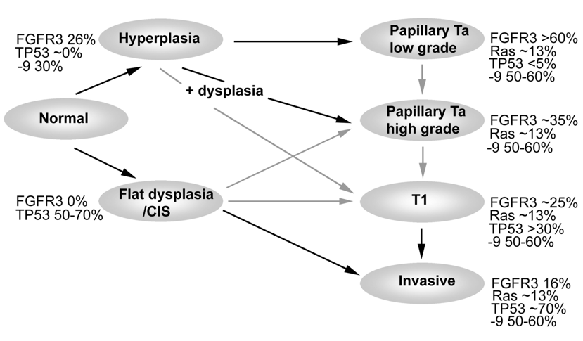 NMIBC_2021_Bivalacqua_2.png