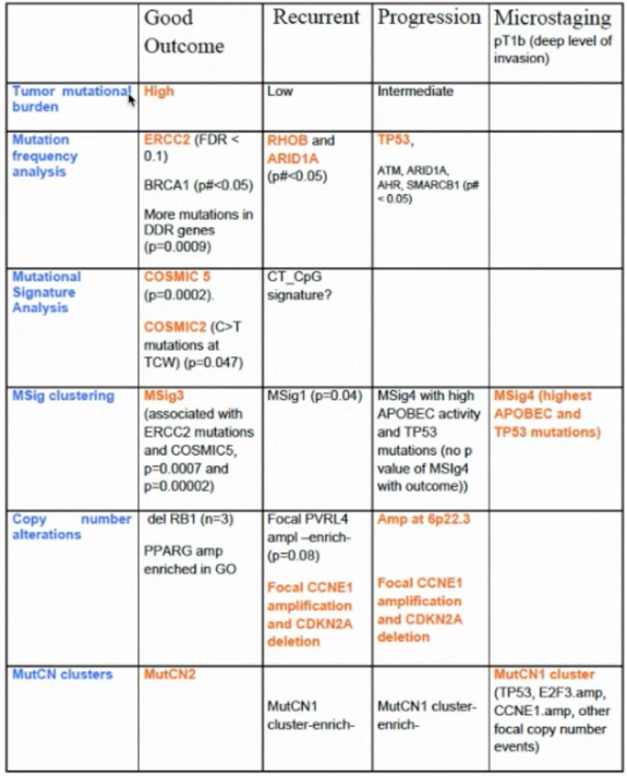 NMIBC_2021__Bellmunt_2.png