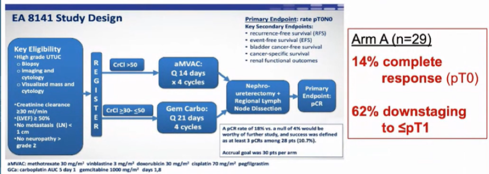 NMIBC_2021__Margulis_2.png