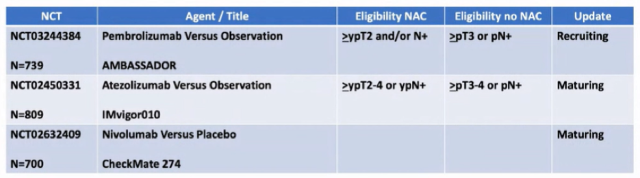 NMIBC_2021__Margulis_4.png
