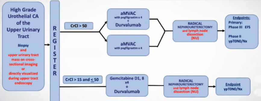 NMIBC_2021__Margulis_5.png