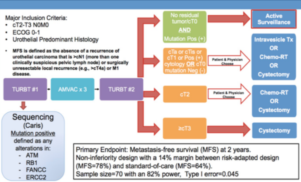 Necchi_ASCO21_figure2.png