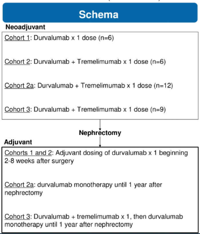 NeoAdjuvantvAdjuvant_TrialSchema_ASCO2020.png