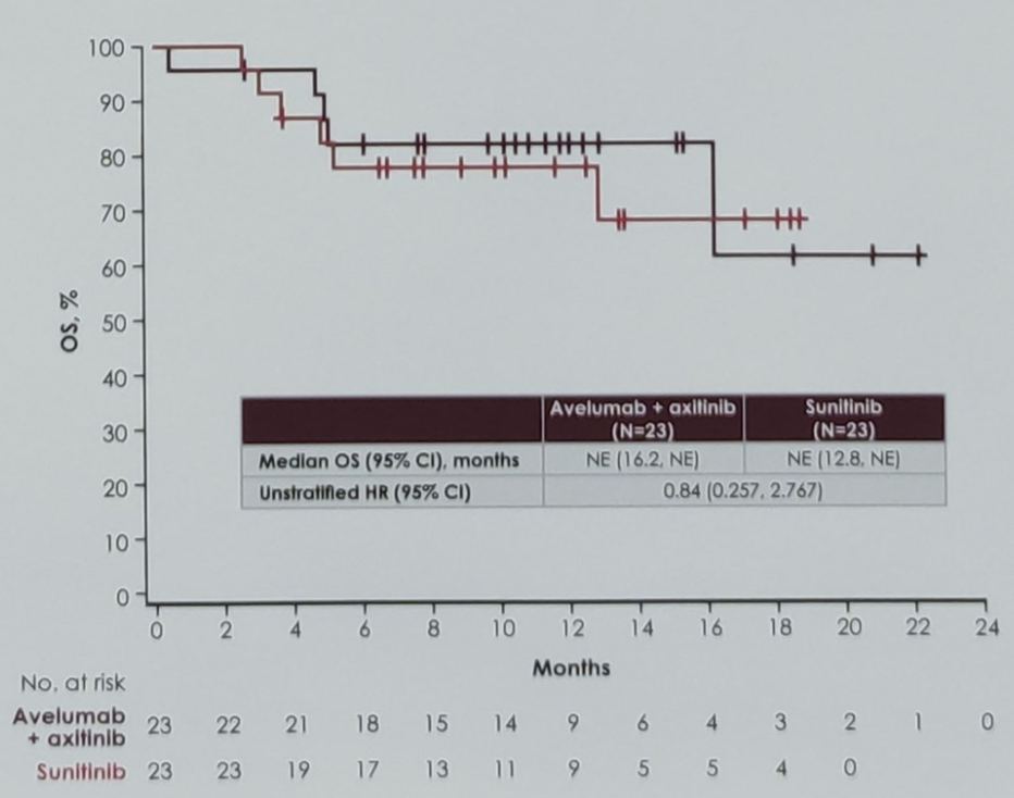 OS in patients with brain metastasis
