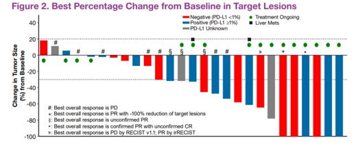 PIVOT 02 figure2