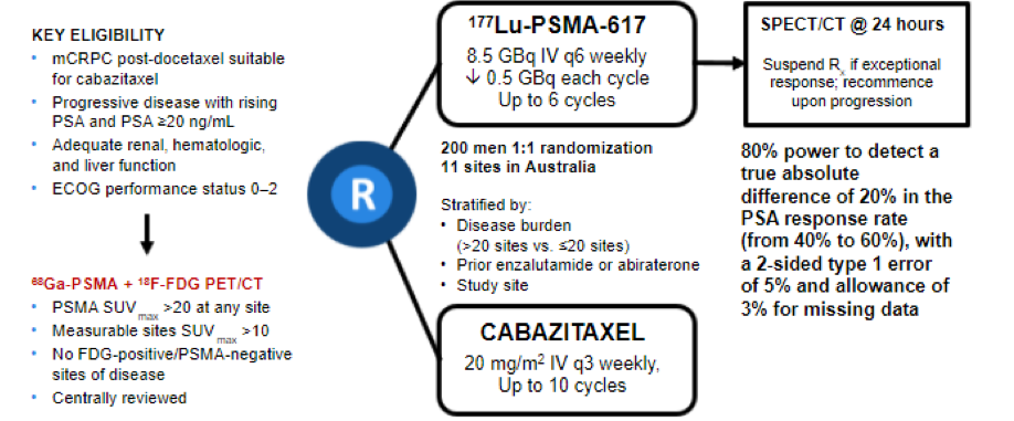 PSMA-expressing_cells.png