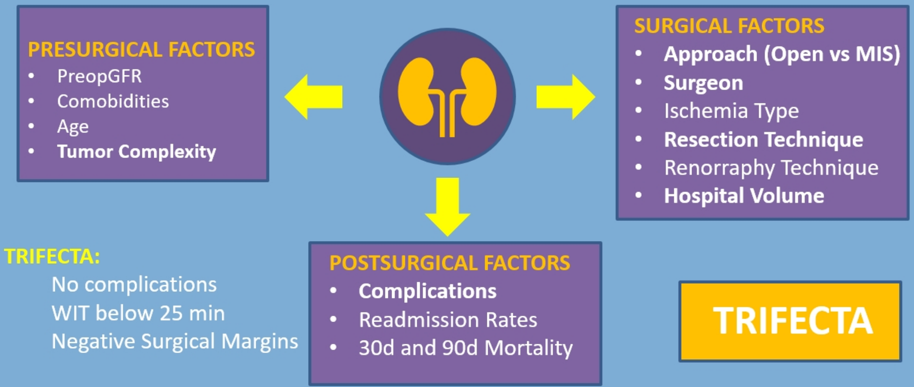 PartialNephrectomy_SurgicalFactors_EAU2020.png