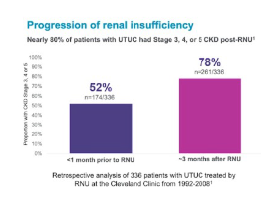 ProgressionofRenalInsufficiency_AUA2020.png