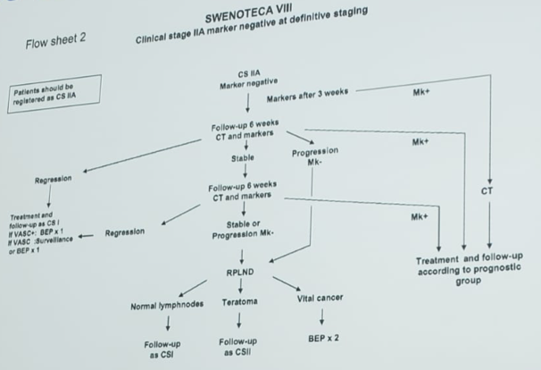 RPLND_SWENOTeCA_algorithm.png